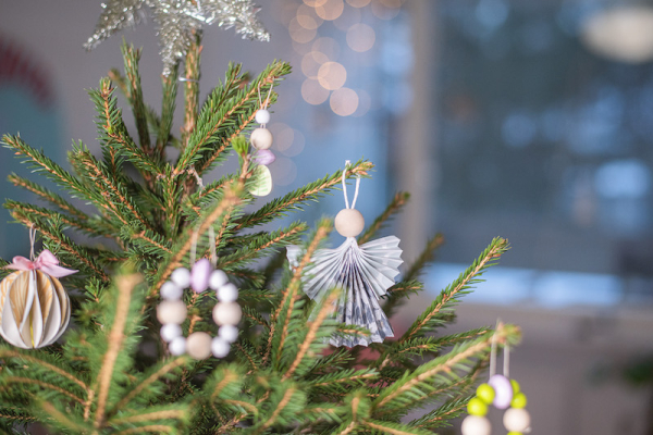 Finnish Christmas trees: A forest of 200,000 needles per tree
Finnish Christmas trees: A forest of 200,000 needles per tree