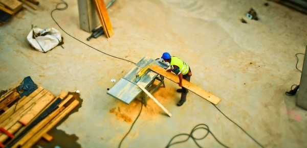 Employment decline continues amid modest outlook
Employment decline continues amid modest outlook