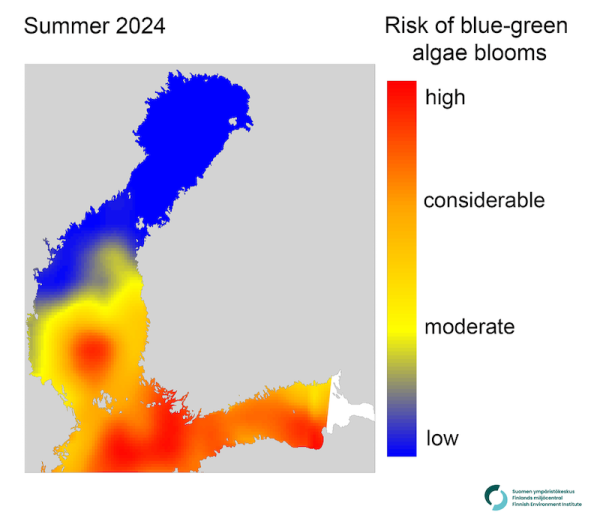 Significant risk of blue-green algae blooms in Finnish seas this summer
Significant risk of blue-green algae blooms in Finnish seas this summer