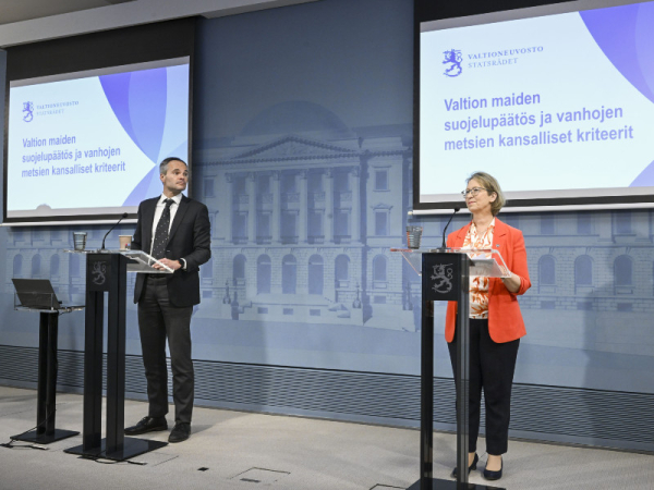 Finnish government confirms strict forest protection criteria, drawing sharp criticism
Finnish government confirms strict forest protection criteria, drawing sharp criticism