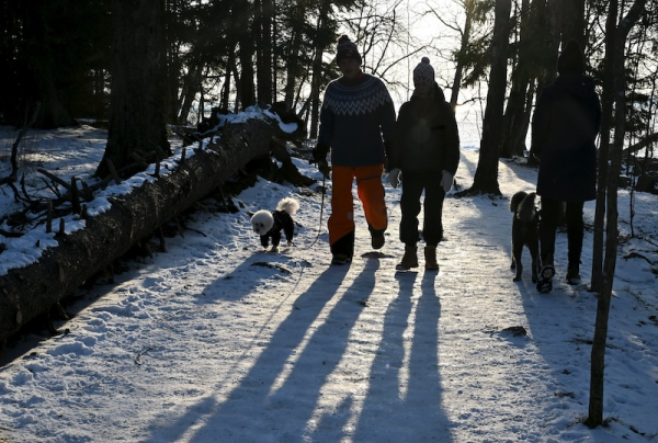 Finland faces unusually warm winter, but cold may return
Finland faces unusually warm winter, but cold may return