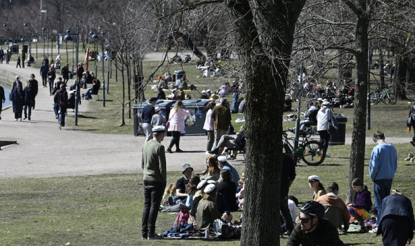 Cold rain and freezing nights forecast for Finland’s May Day
Cold rain and freezing nights forecast for Finland’s May Day