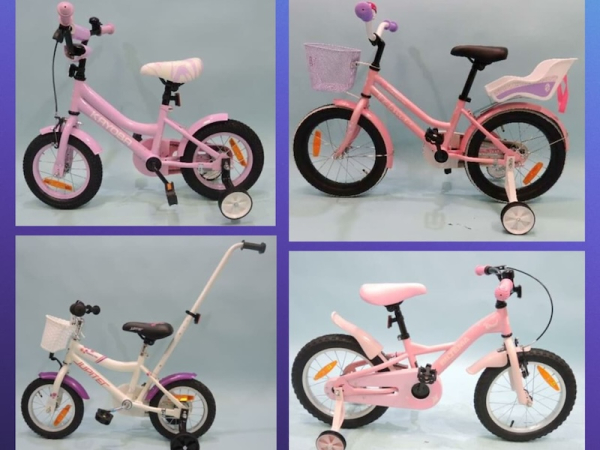 Finland bans sale of four children's bikes over safety defects
Finland bans sale of four children's bikes over safety defects