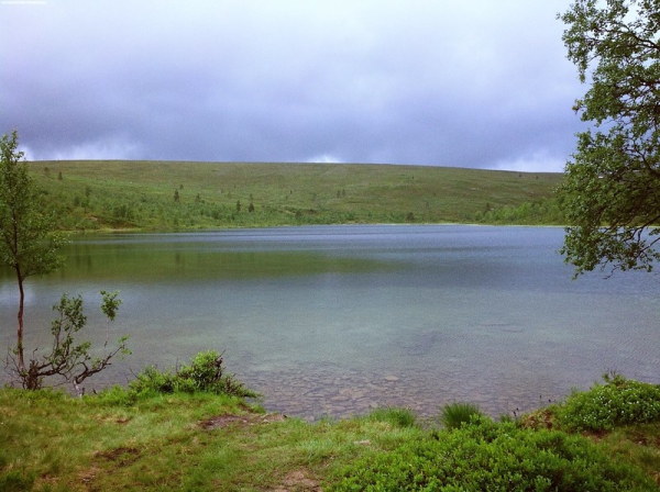 Dozens fall ill in Finland’s UKK National Park, evacuations underway
Dozens fall ill in Finland’s UKK National Park, evacuations underway