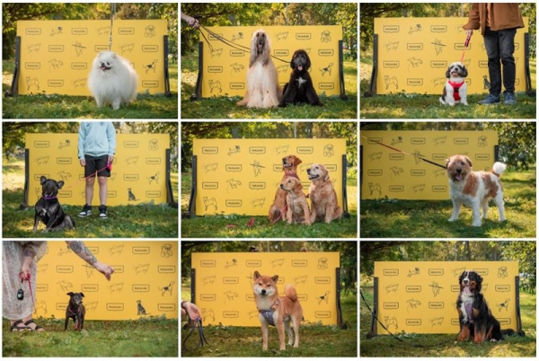 
					
				Helsinki unveils world&rsquo;s first sightseeing route for dogs
			